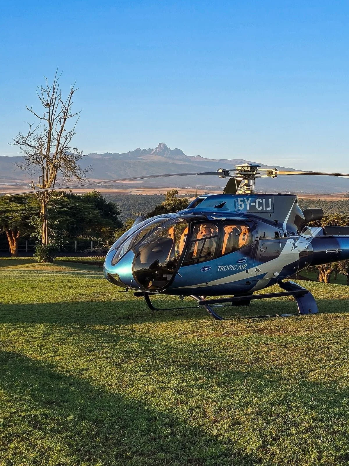 wildlife, Amboseli & Chyulu Hills