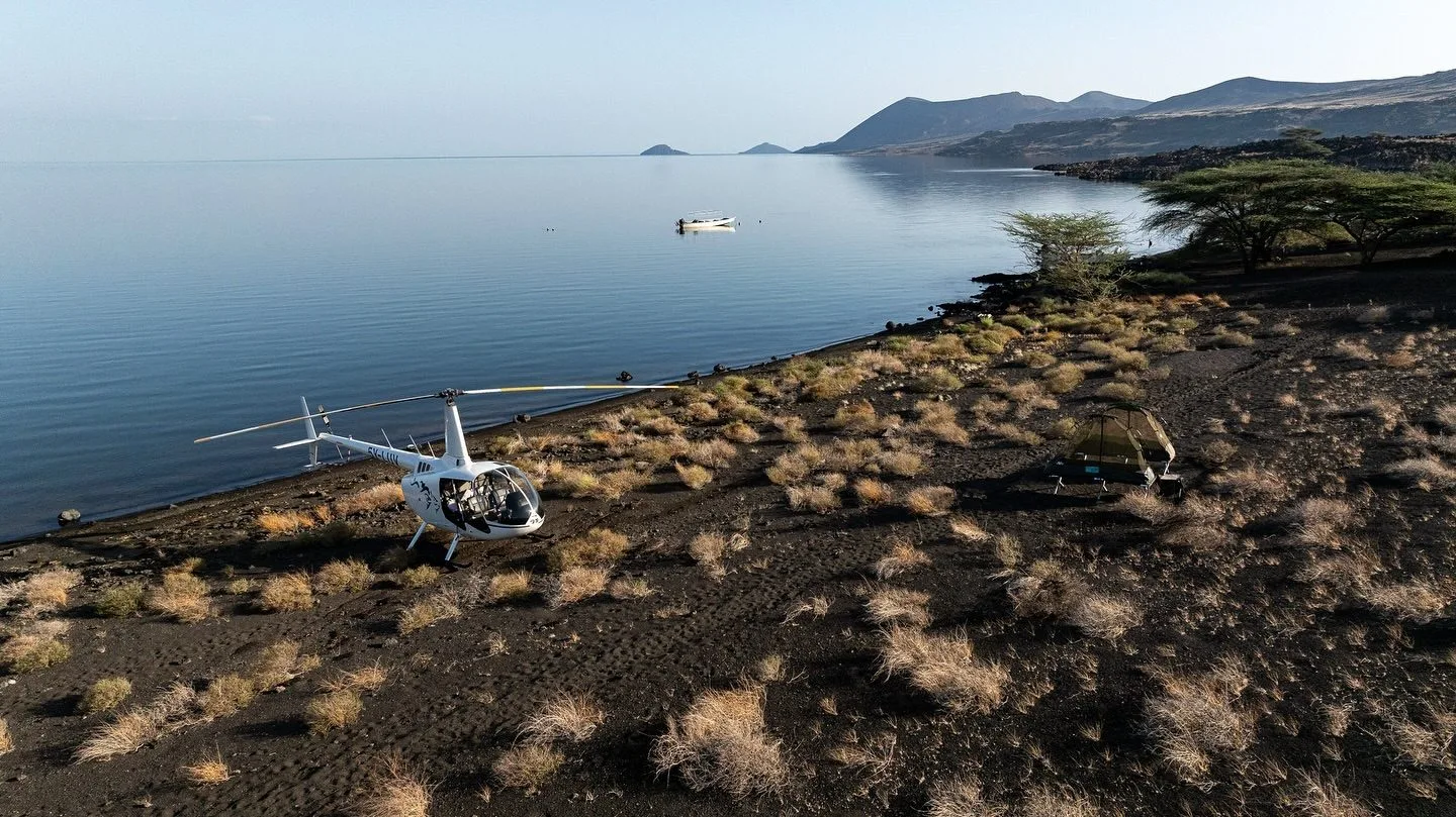 wildlife, Tsavo & Lumo Conservancy