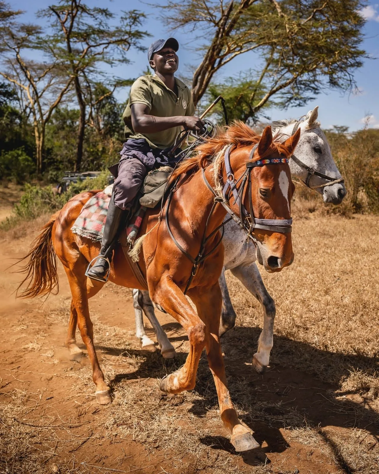 wildlife, Amboseli & Chyulu Hills